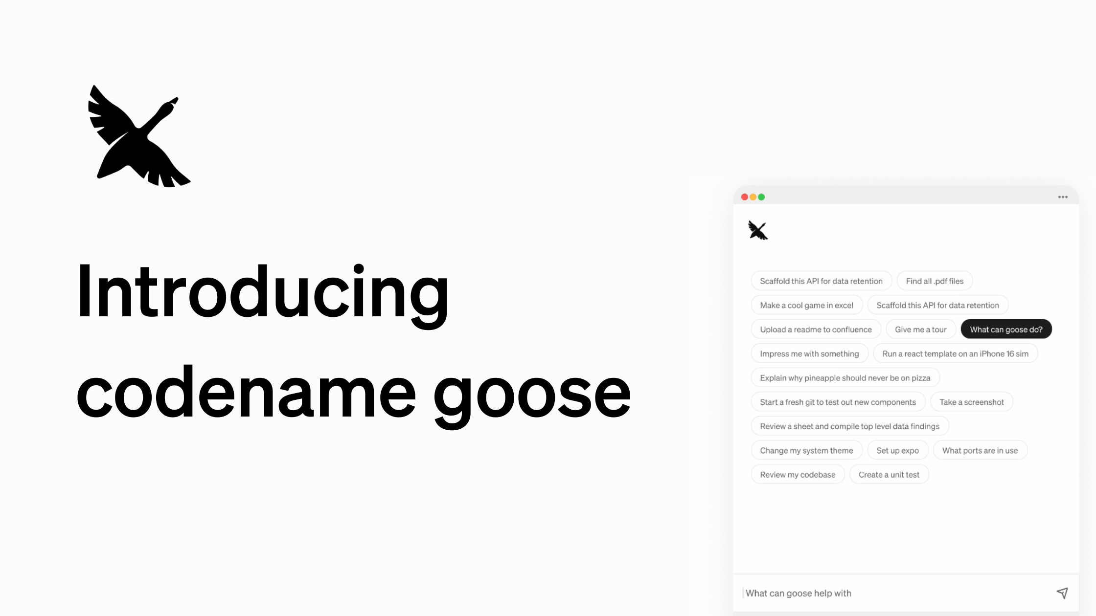 Introducing codename goose